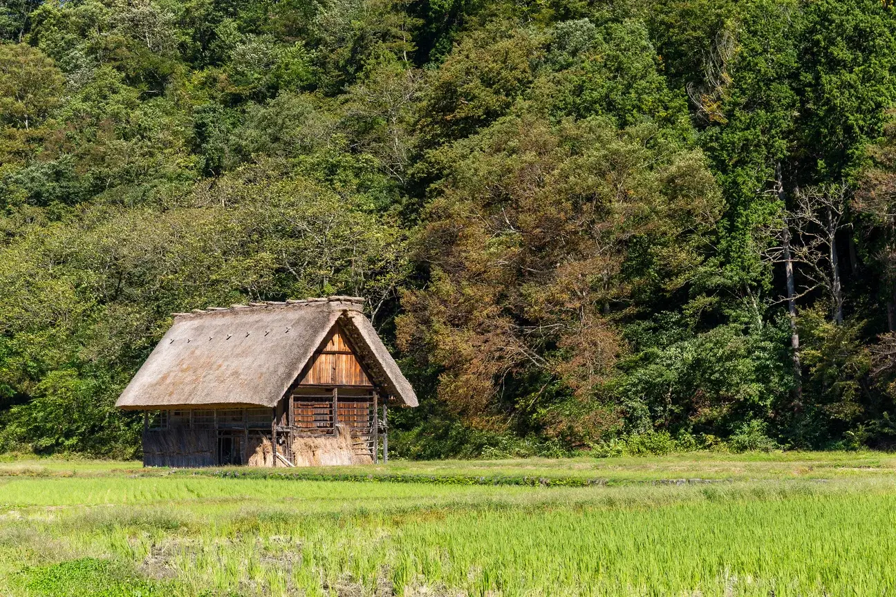 A view of a house in Onojo, Japan