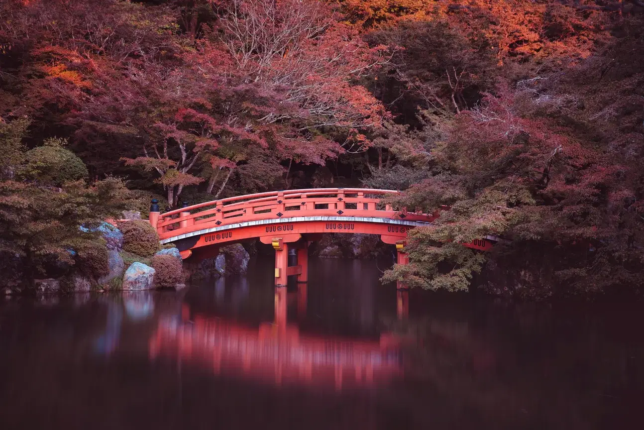 A view of a house in Shirayamamachi, Japan