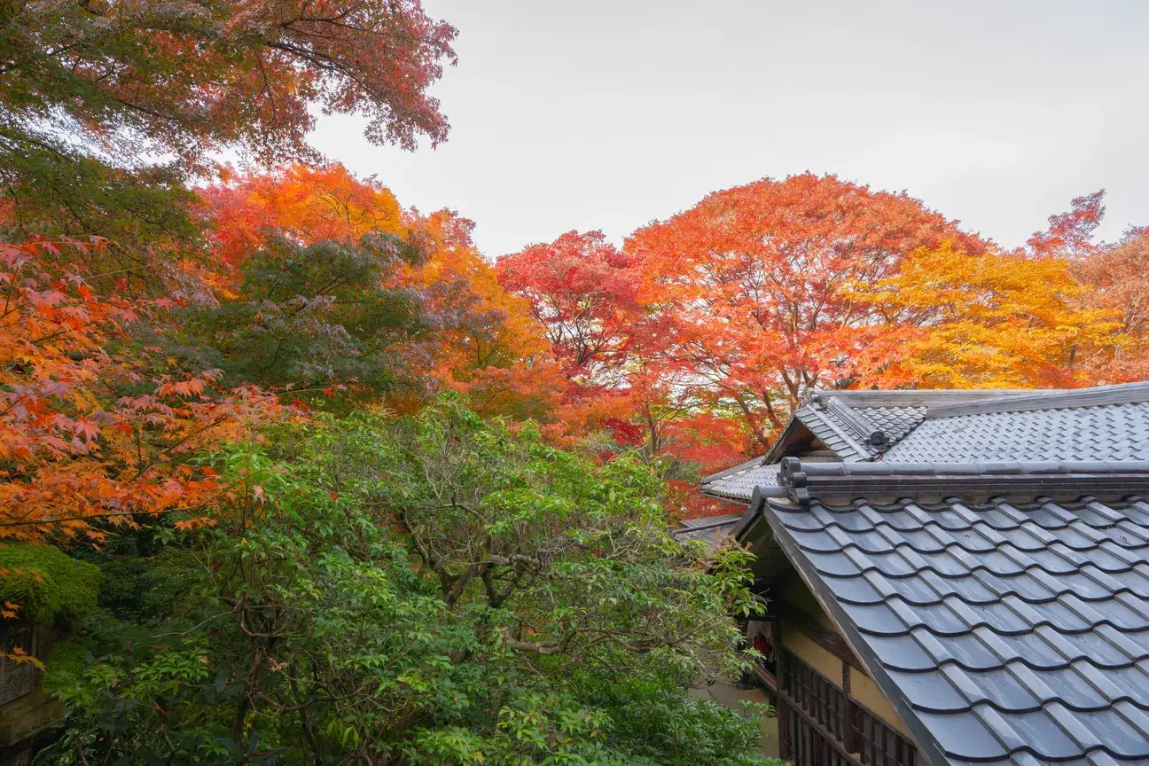 A view of a house in Kadoma, Japan