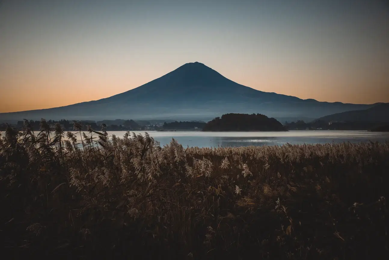 A view of a house in Kita-ku, Japan