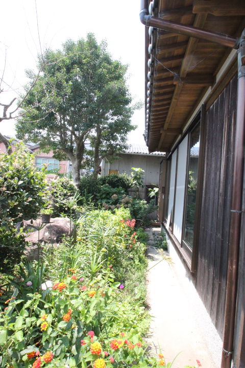 Additional property image - 445 Misohirayama, Ainancho, Minamiuwa-gun, Ehime Prefecture
