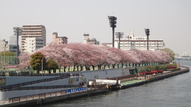 Additional property image - Hanakawado 1-chome, Taito-ku, Tokyo