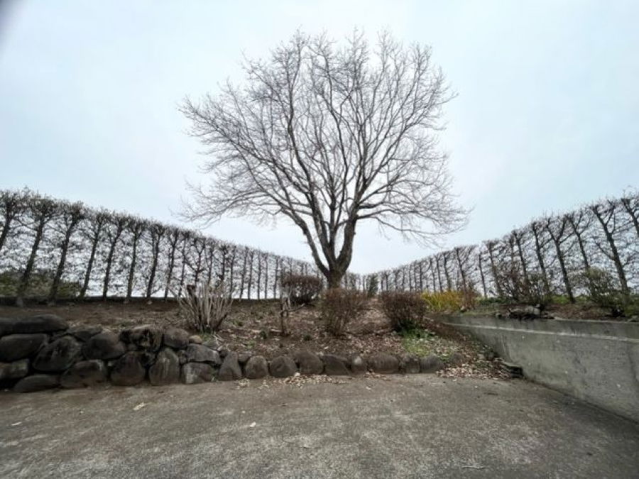 Additional property image - 15874-1 Nitta, Shintomi-cho, Koyu-gun, Miyazaki Prefecture