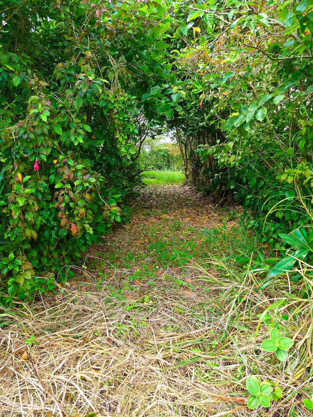 Additional property image - Uehara, Taketomi-cho, Yaeyama-gun, Okinawa Prefecture