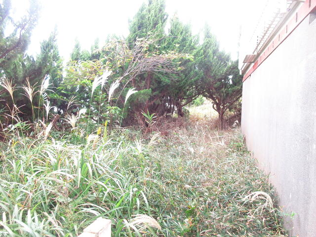 Additional property image - A wasteland in Hokota City, Ibaraki Prefecture