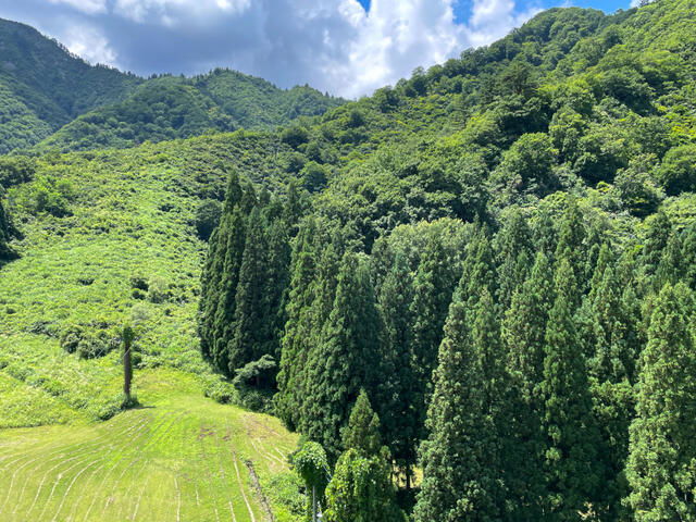 Additional property image - Niigata Prefecture Minamiuonuma District Yuzawa Town Tsuchitaru
