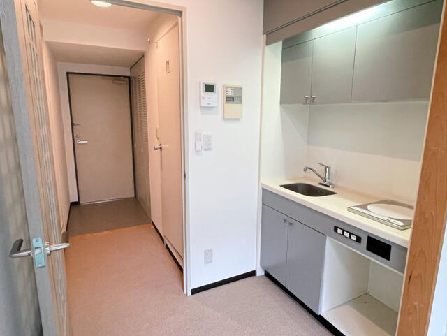 Additional property image - Niigata Prefecture Minamiuonuma District Yuzawa Town Tsuchitaru