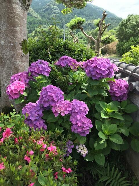 Additional property image - Hasegawacho, Isahaya City, Nagasaki Prefecture