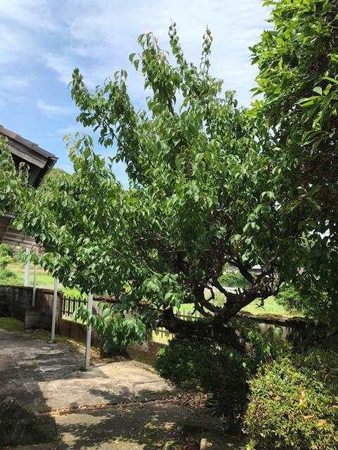 Additional property image - Hasegawacho, Isahaya City, Nagasaki Prefecture