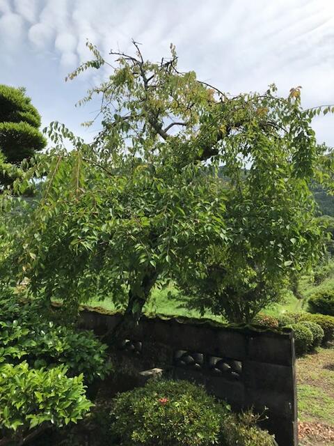 Additional property image - Hasegawacho, Isahaya City, Nagasaki Prefecture