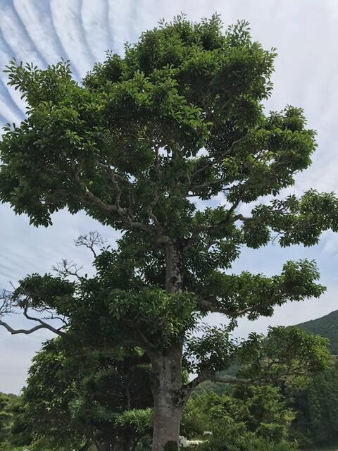 Additional property image - Hasegawacho, Isahaya City, Nagasaki Prefecture