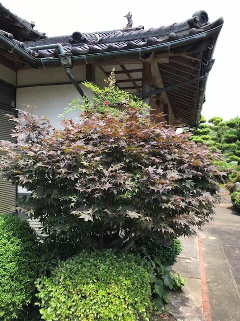 Additional property image - Hasegawacho, Isahaya City, Nagasaki Prefecture