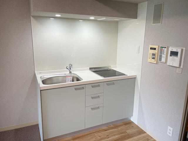 Additional property image - Niigata Prefecture Minamiuonuma District Yuzawa Town Tsuchitaru