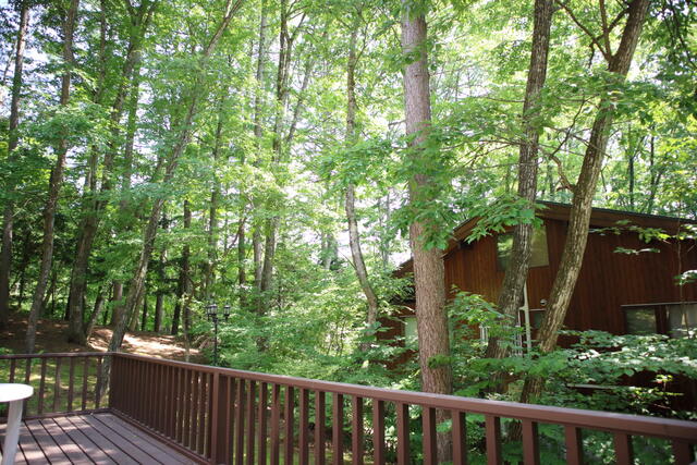 Additional property image - Oaza Nagakura, Karuizawa-machi, Kitasaku-gun, Nagano Prefecture