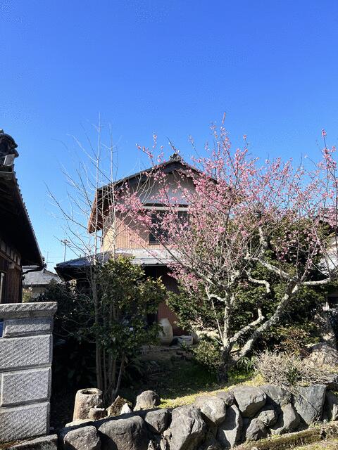 Additional property image - Wanan Town, Higashiomi City, Shiga Prefecture