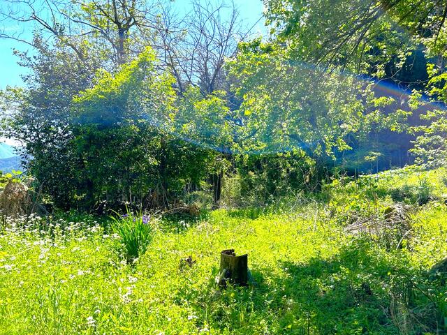Additional property image - Hatakura, Nigiokacho, Otsuki City, Yamanashi Prefecture