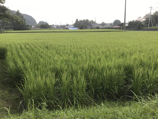 Additional property image - Katada, Otawara City, Tochigi Prefecture