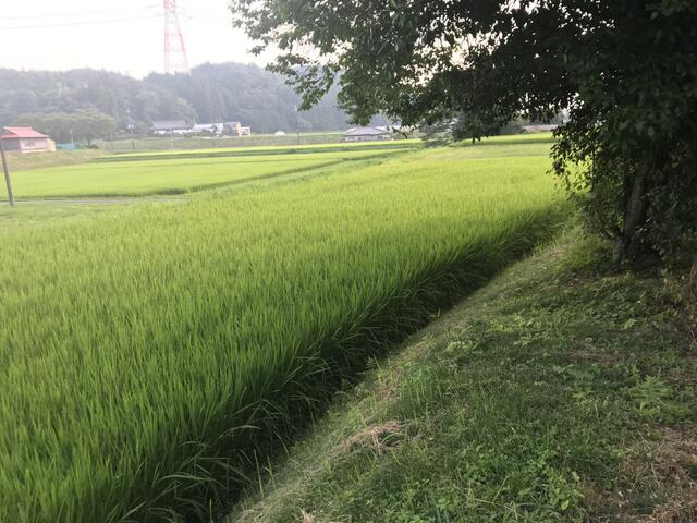 Additional property image - Katada, Otawara City, Tochigi Prefecture