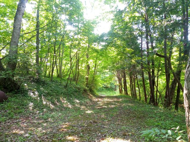 Additional property image - Miyagi Prefecture, Kurihara City, Ichisako, Katakozawa, Kamigonpei