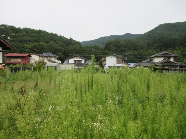 Additional property image - Nagano Prefecture, Kamiina District, Tatsuno Town, Oaza Ono
