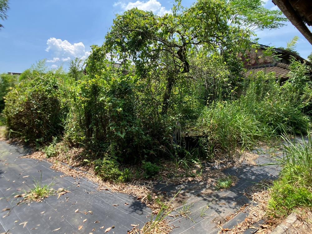 Additional property image - Sumiyoshi, Aira City, Kagoshima Prefecture