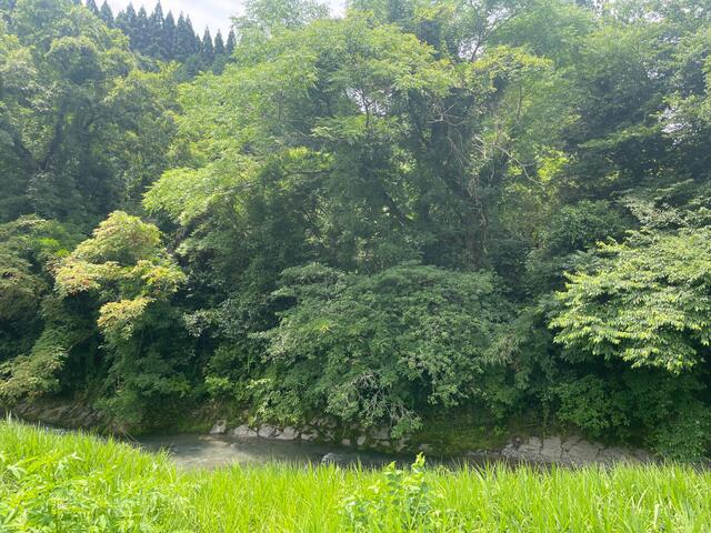 Additional property image - Kumamoto Prefecture Shimomashiki District Misato Town Sakai