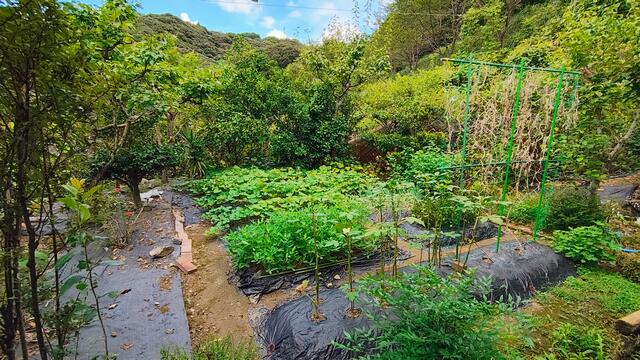 Additional property image - Fuwa, Shimanto City, Kochi Prefecture