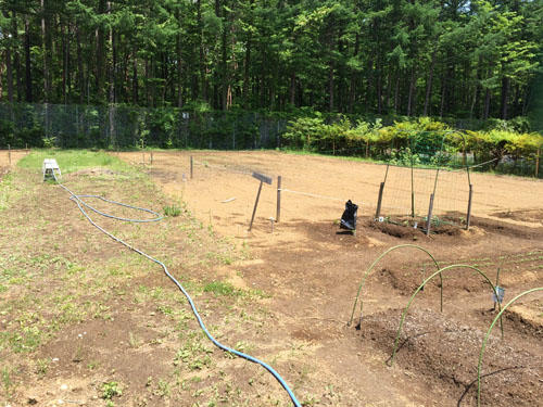 Additional property image - Oshigusa, Oshino Village, Minamitsuru District, Yamanashi Prefecture