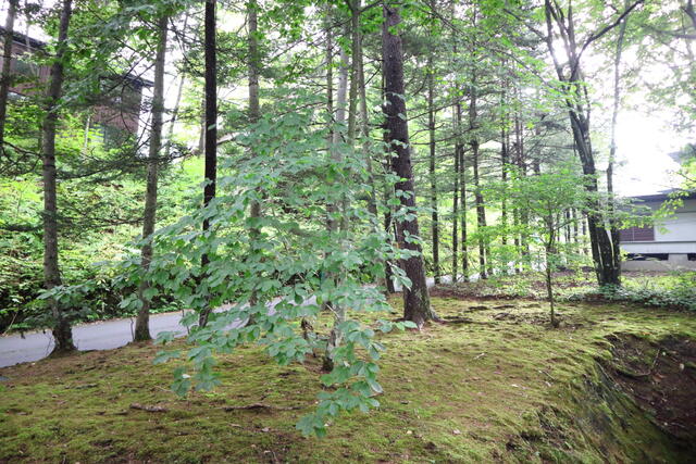 Additional property image - Oaza Nagakura, Karuizawa-machi, Kitasaku-gun, Nagano Prefecture