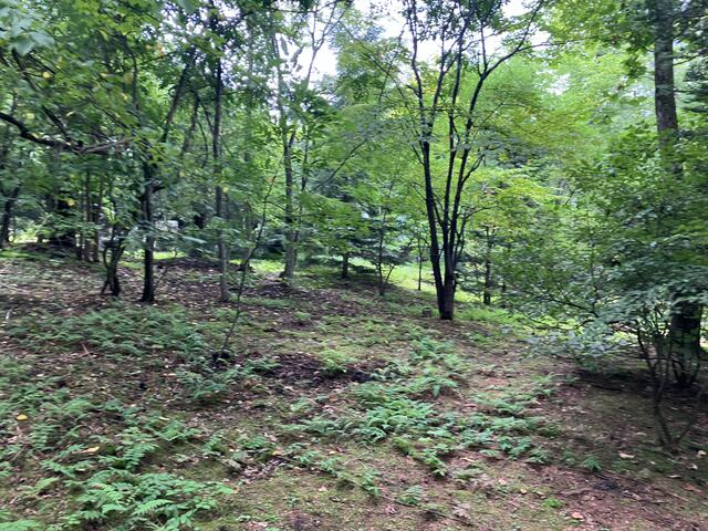 Additional property image - Oaza Nagakura, Karuizawa-machi, Kitasaku-gun, Nagano Prefecture