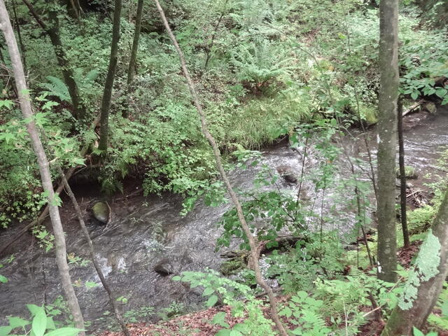 Additional property image - Kitakaruizawa, Naganohara-machi, Agatsuma-gun, Gunma Prefecture