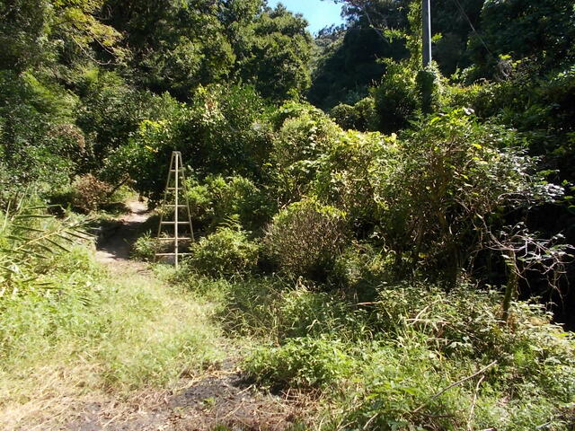 Additional property image - Oaza Shiranoe, Moji Ward, Kitakyushu City, Fukuoka Prefecture