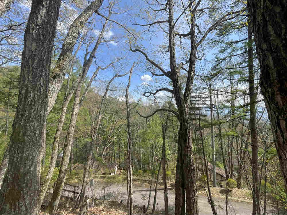 Additional property image - Kitayama, Chino City, Nagano Prefecture