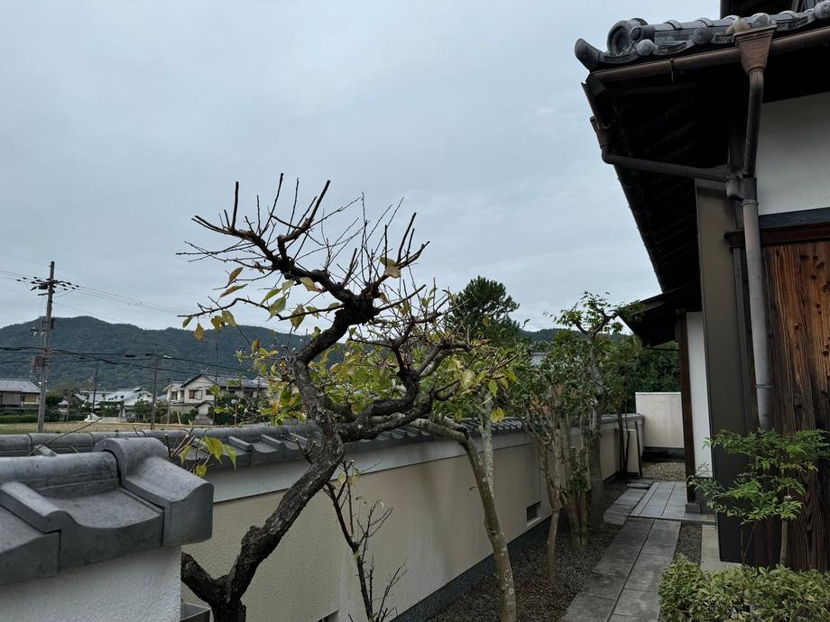 Additional property image - Kitasaga Kitanodancho, Ukyo Ward, Kyoto City, Kyoto Prefecture