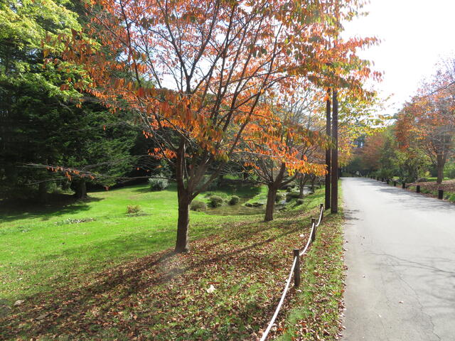 Additional property image - Akaigawa, Morimachi, Kayabe District, Hokkaido