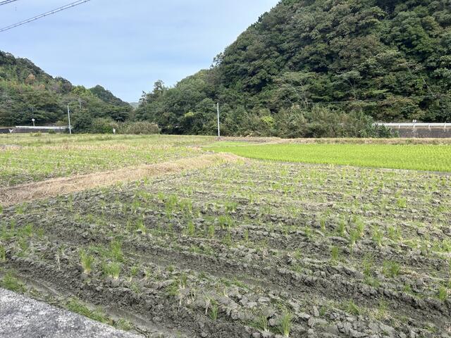 Additional property image - Nodatsubo, Hatamachi, Tokushima City, Tokushima Prefecture