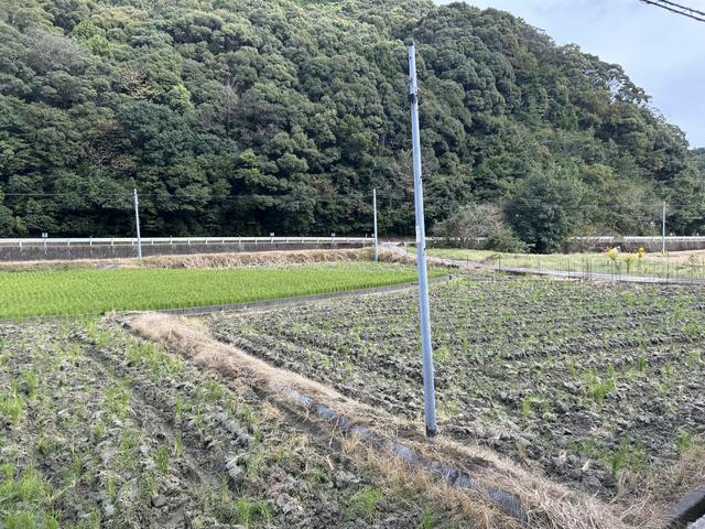 Additional property image - Nodatsubo, Hatamachi, Tokushima City, Tokushima Prefecture