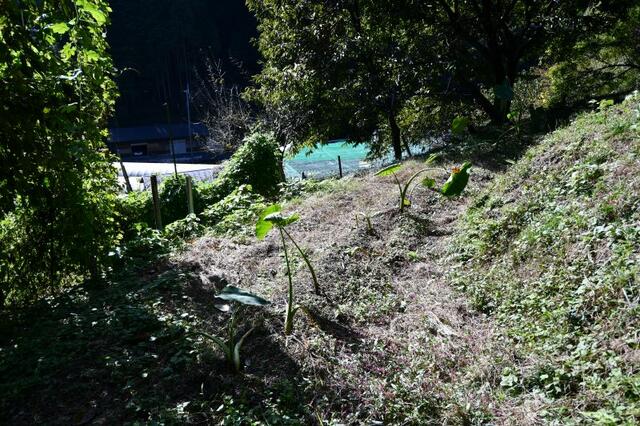 Additional property image - Yagyu Town, Nara City, Nara Prefecture