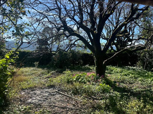 Additional property image - Ushijima, Kamojima-cho, Yoshinogawa City, Tokushima Prefecture