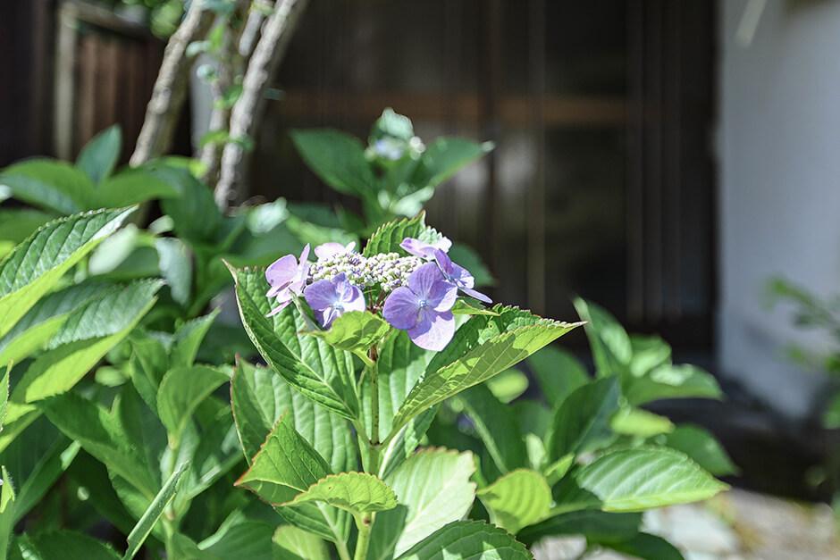 Additional property image - Jodoji Minamidacho, Sakyo Ward, Kyoto City, Kyoto Prefecture