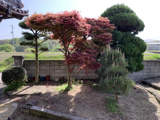 Additional property image - Hagata, Takase-cho, Mitoyo City, Kagawa Prefecture