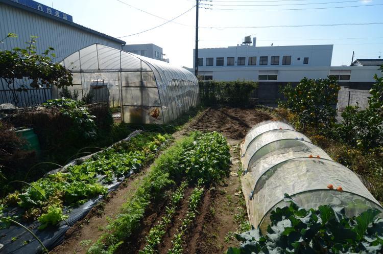 Additional property image - Higashiiwasaki, Togane City, Chiba Prefecture