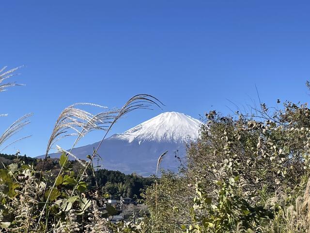 Additional property image - Takenoshita, Oyama-machi, Sunto-gun, Shizuoka Prefecture