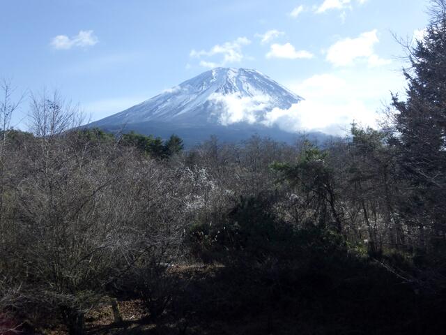 Additional property image - Fujigamine, Fujikawaguchiko-cho, Minamitsuru-gun, Yamanashi Prefecture