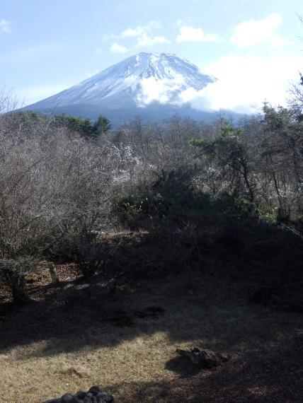 Additional image 11 of Fujigamine, Fujikawaguchiko-cho, Minamitsuru-gun, Yamanashi Prefecture