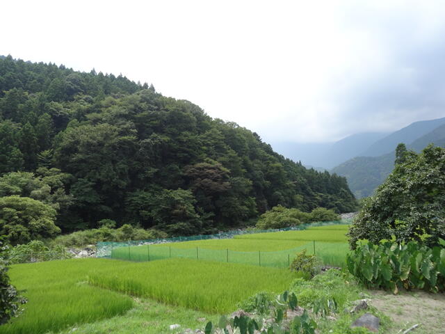 Additional property image - Southern part of Nanbu Town, Minamikoma District, Yamanashi Prefecture