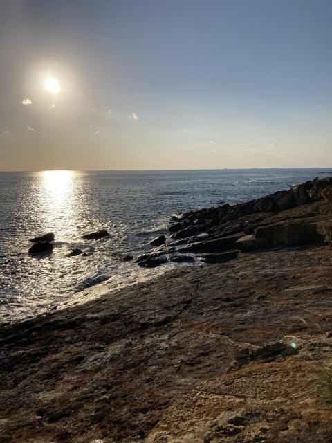 Additional property image - Saino, Shirahama-cho, Nishimuro-gun, Wakayama Prefecture
