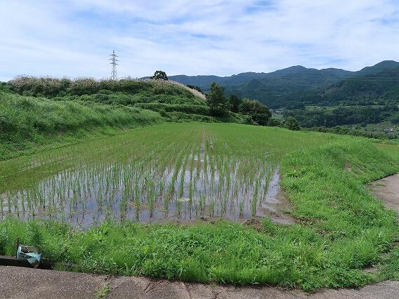 Additional property image - Shonaicho Nishi, Yufu City, Oita Prefecture